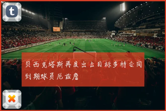 贝西克塔斯再度出击目标多特合同到期球员厄兹詹